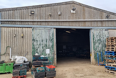 Environment image